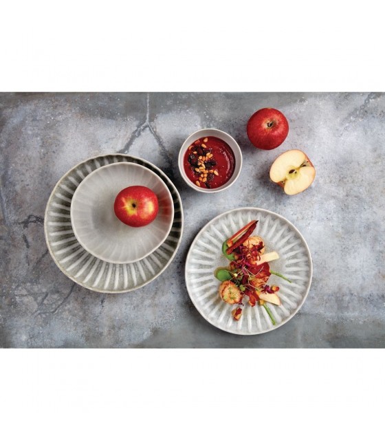 EOL  ASSIETTE PLATE 28CM CORALLITE 6 PIECES dans CORALLITE