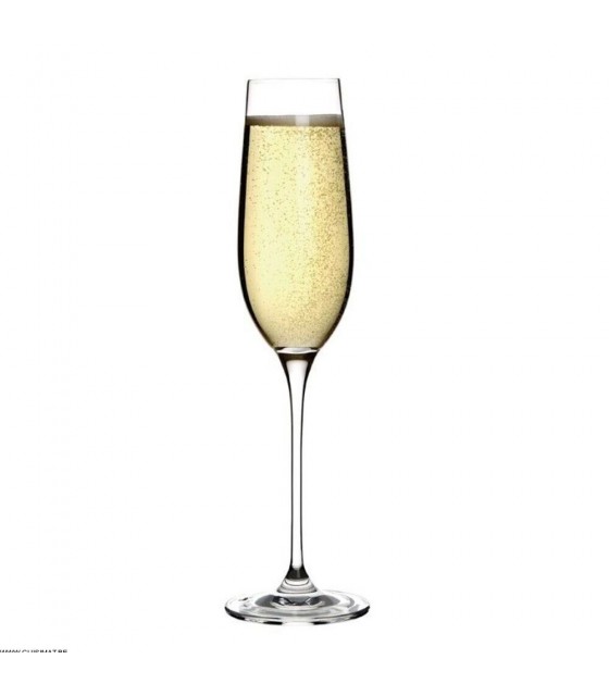 FLUTES A CHAMPAGNE EN CRISTAL 260ML 6 PIECES CAMPANA dans CAMPANA