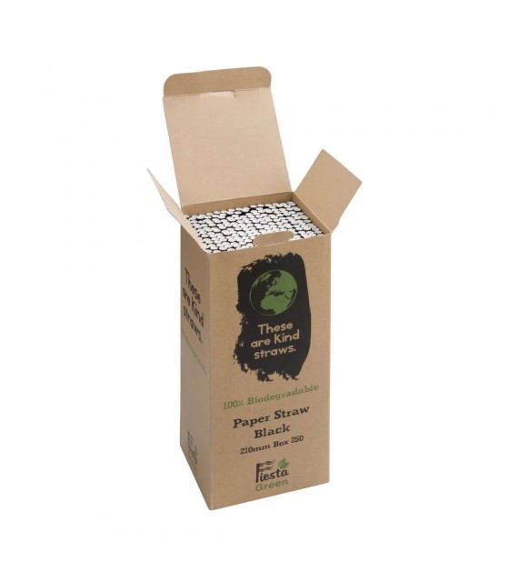 PAILLES EN PAPIER BIODEGRADABLES NOIRES 250 PIECES dans PAILLES ET CHALUMEAUX