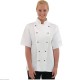 VESTE CHEF CHICAGO MANCHES COURTES TAILLE S WHITES