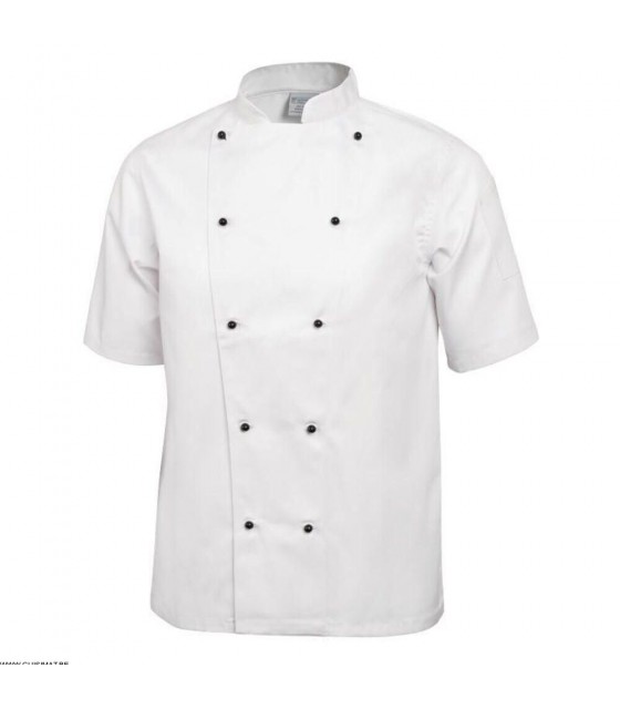 VESTE CHEF CHICAGO MANCHES COURTES TAILLE XXL WHITES dans VESTE