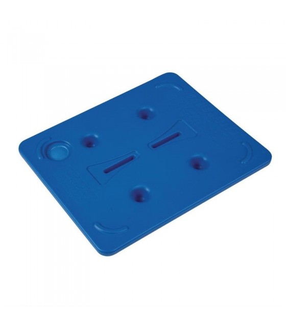 PLAQUE EUTECTIQUE FROIDE GN1/2 CAMBRO dans BOX ISOTHERMES