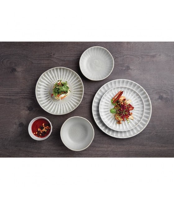 EOL  ASSIETTE CALOTTE 22CM CORALLITE  6 PIECES dans CORALLITE