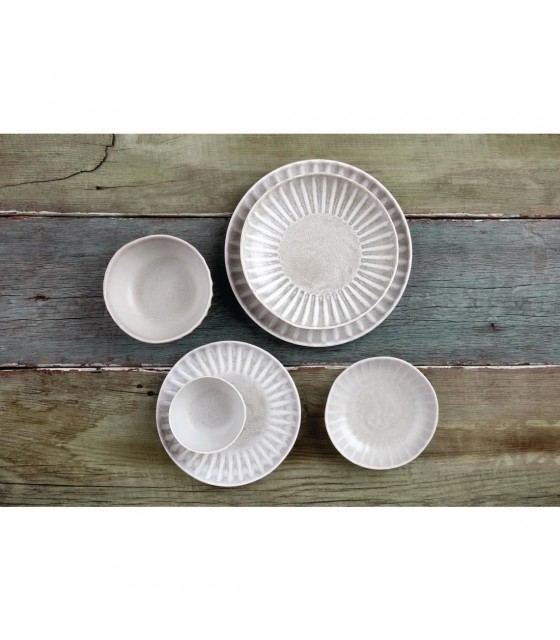 EOL  ASSIETTE CALOTTE 22CM CORALLITE  6 PIECES dans CORALLITE