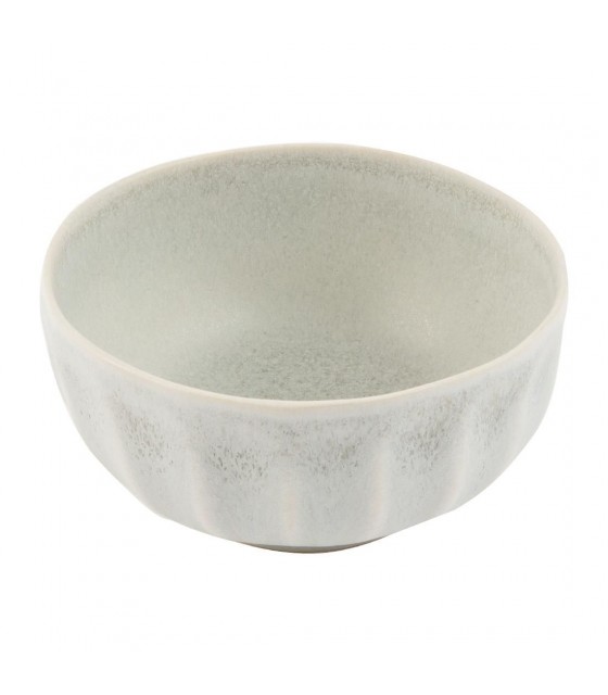 EOL  BOLS 10.5CM CORALLITE 12 PIECES dans CORALLITE