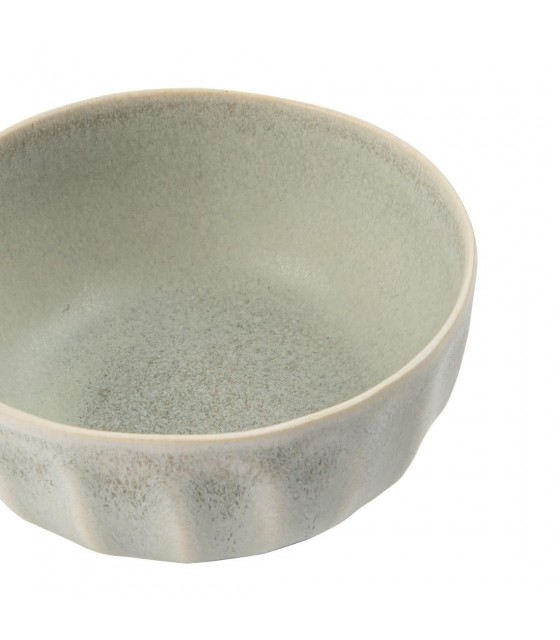 EOL  BOLS 10.5CM CORALLITE 12 PIECES dans CORALLITE