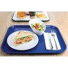 EOL  PLATEAU 450 X 350 MM BLEU CUISIMAT dans PRESENTATION DE COMPTOIR
