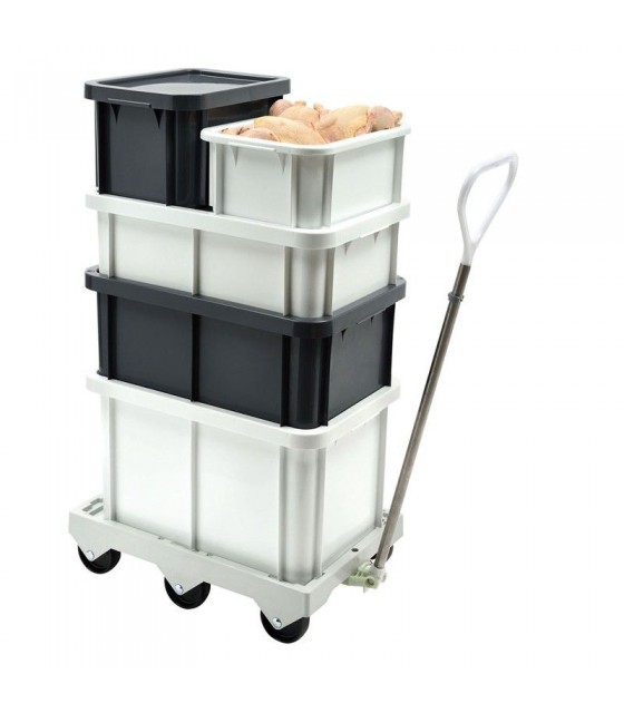 BAC RECTANGULAIRE 35Lt BLANC GILAC dans BAC DE TRANSPORT