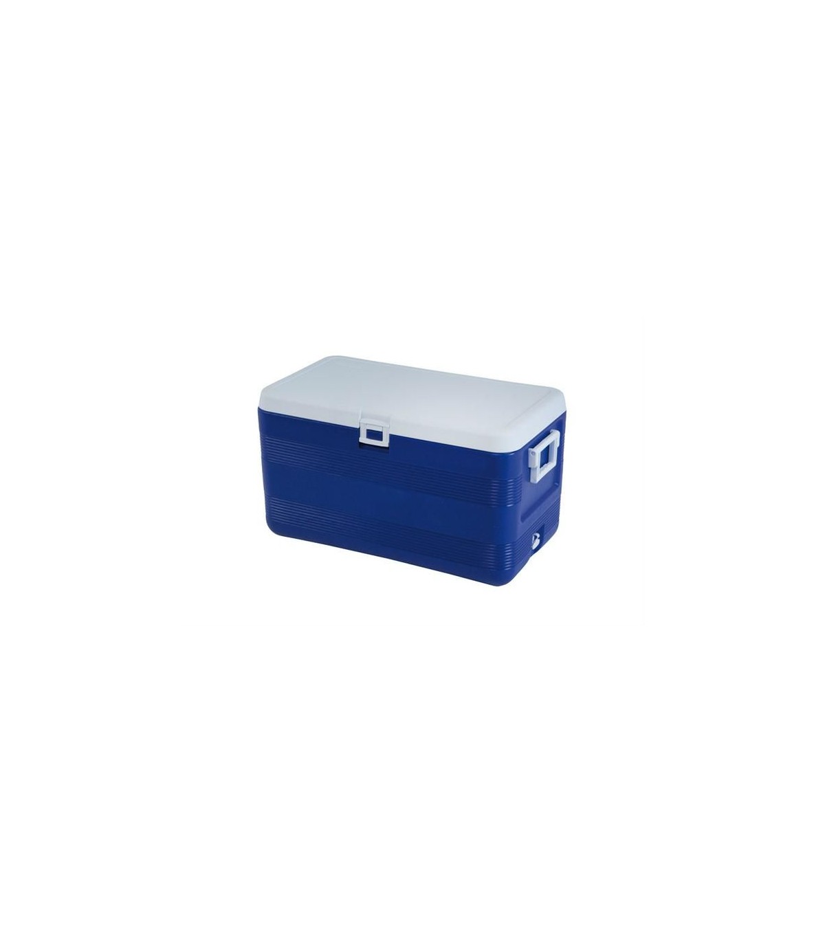 ICE BOX PRO 60LT dans BOX ISOTHERMES