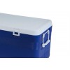 ICE BOX PRO 110LT dans BOX ISOTHERMES