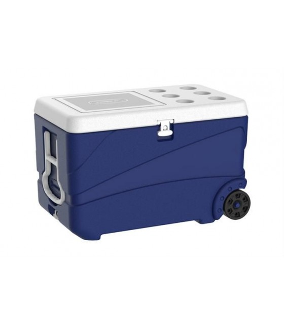 ICE BOX PRO 65LT AVEC 2 ROUES dans BOX ISOTHERMES