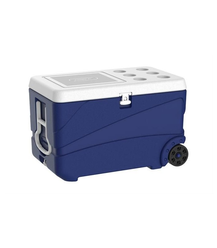 ICE BOX PRO 65LT AVEC 2 ROUES dans BOX ISOTHERMES