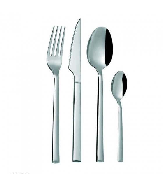 CUILLERE DE TABLE ALIDA 12 PIECES COMAS dans COMAS ALIDA