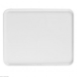 PLATEAU EVENTO VITAMINE PLATEAU PORCELAINE GN1/2 DEGRENNE dans ARTICLES DE PRESENTATION