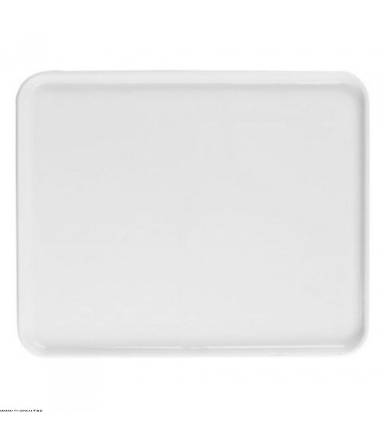 PLATEAU EVENTO VITAMINE PLATEAU PORCELAINE GN1/2 DEGRENNE dans ARTICLES DE PRESENTATION