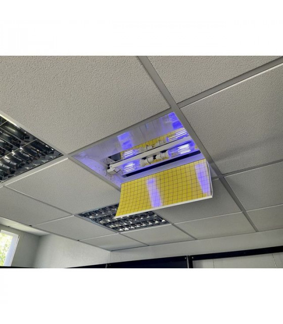 DESINSECTISEUR A GLUE LED BRC dans EXTERMINATEUR INSECTES