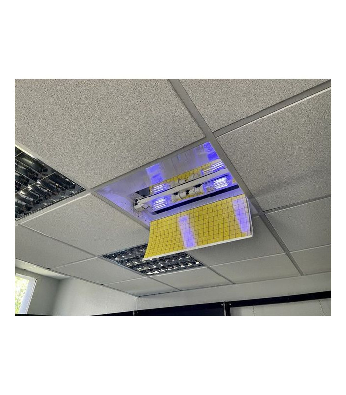 DESINSECTISEUR A GLUE LED BRC dans EXTERMINATEUR INSECTES