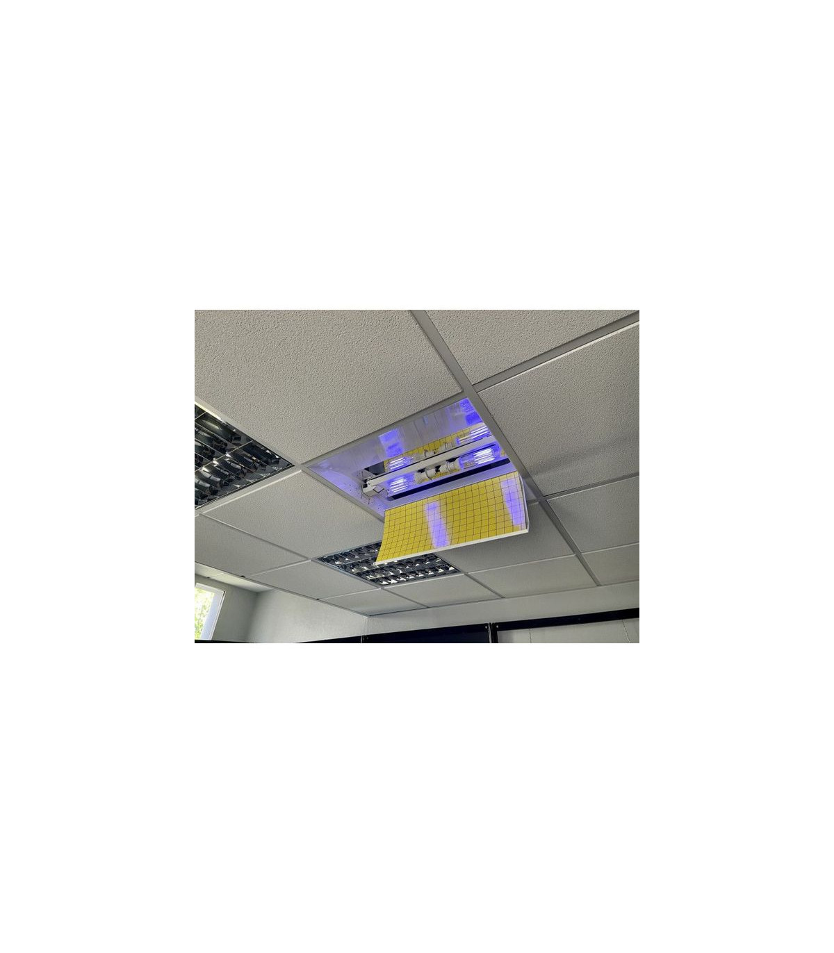 DESINSECTISEUR A GLUE LED BRC dans EXTERMINATEUR INSECTES