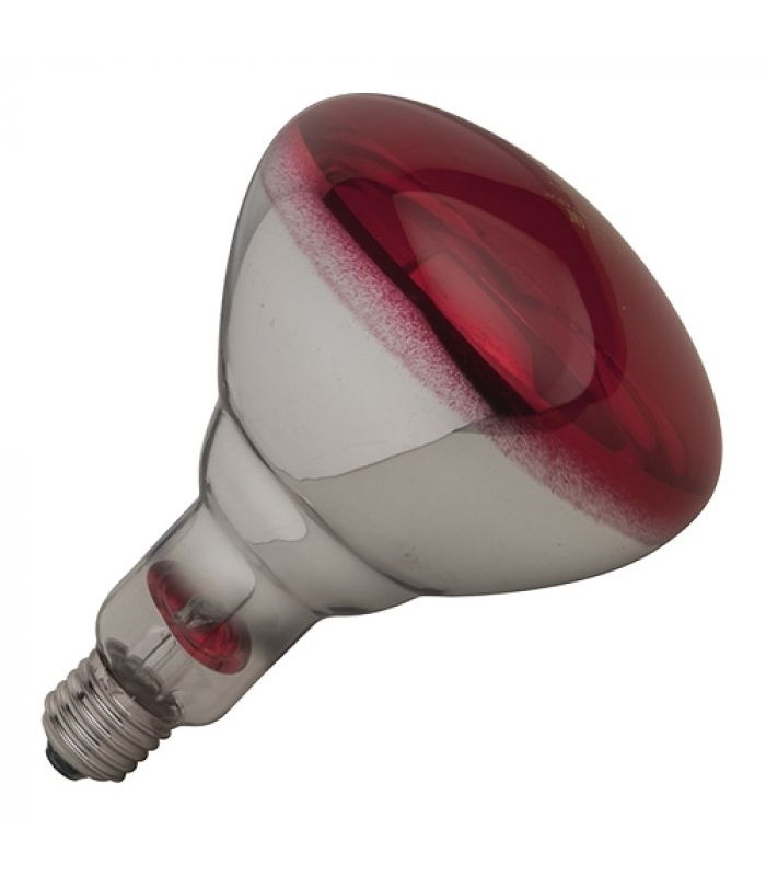 LAMPE ROUGE 250W OCTALUX dans OCTALUX
