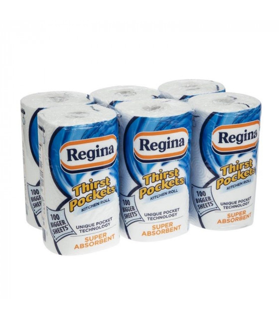ESSUIE-TOUT THIRST POCKETS 100 FEUILLES REGINA X 6 dans RECHARGE PAPIER