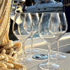 VERRE REDONE TRITAN-510CC 6 PIECES dans TRITAN