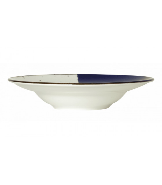ASSIETTE A PATE Ø27CM POSEIDON BLANC IVOIRE & BLEU SARREGUEMINES dans SARREGUEMINES