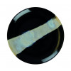 ASSIETTE PLATE SANS AILE Ø21CM CIRCE NOIR & NACRE SARREGUEMINES dans SARREGUEMINES