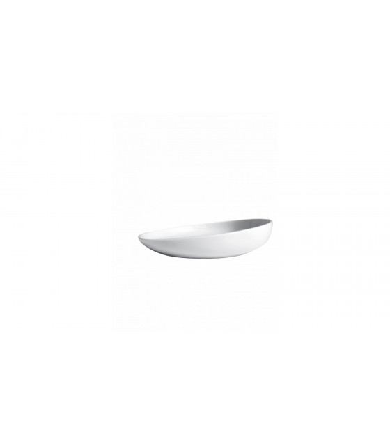 ASSIETTE PLATE COUPE CREUSE Ø26CM TOBOGAN dans SARREGUEMINES