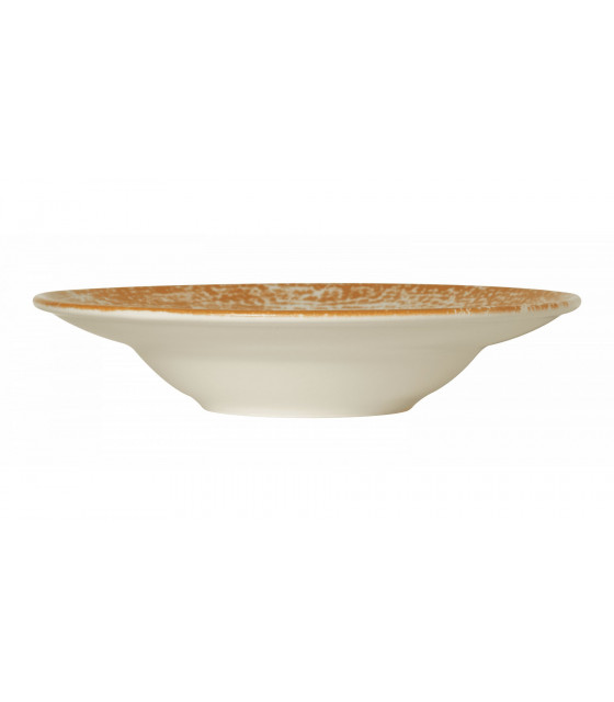 ASSIETTE A PATE Ø27CM PAN ORANGE SARREGUEMINES dans SARREGUEMINES