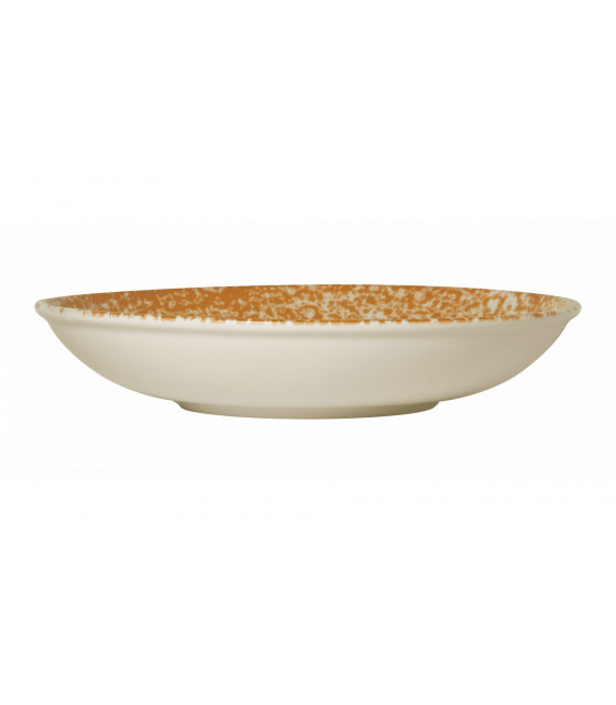 ASSIETTE CREUSE Ø25CM PAN ORANGE SARREGUEMINES dans SARREGUEMINES