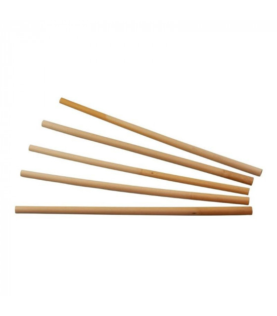 PAILLES DROITES EN ROSEAU SIER DISPOSABLES 6-8MM/25CM LOT DE 50 dans PAILLES ET CHALUMEAUX