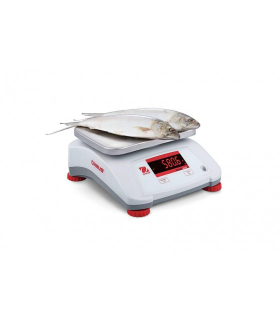 BALANCE DE PREPARATION CHASSIS PLASTIQUE 6KG / 1G V22PWE6T OHAUS dans BALANCE