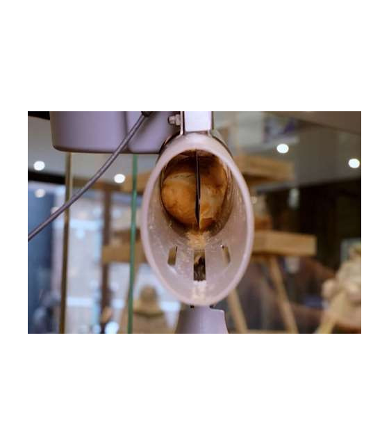 FENDEUR A SANDWICH ELECTRIQUE dans DIVERS