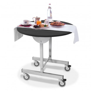 COFFRET THERMIQUE ELEC. INOX  POUR TDR/SC DIAMOND dans DIAMOND