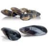 LAVE MOULES 18 KG SUR PIED PRODUCTION 250KG/H DIAMOND dans LAVE MOULES