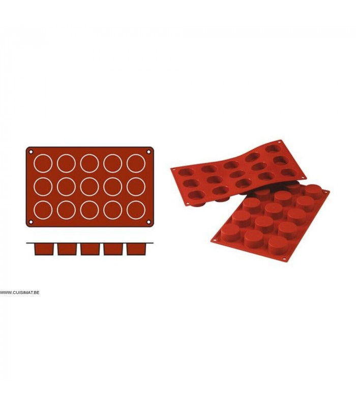 MOULE EN SILICONE GN1/3 15 PORTIONS SF027 PETIT FOUR SILICON FLEX dans MOULES PATISSERIES