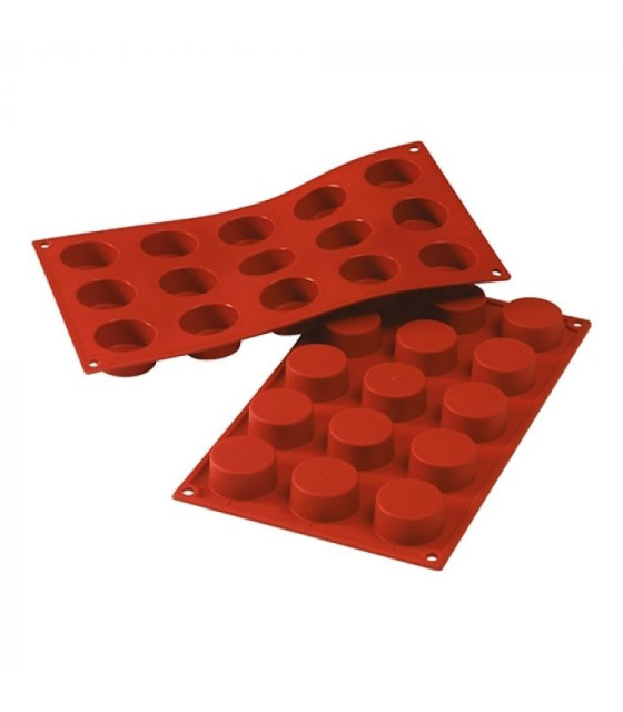 MOULE EN SILICONE GN1/3 15 PORTIONS SF027 PETIT FOUR SILICON FLEX dans MOULES PATISSERIES