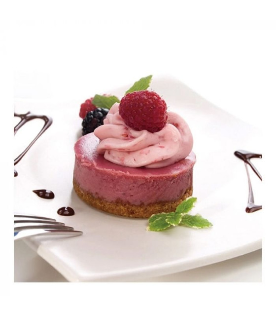 MOULE EN SILICONE GN1/3 15 PORTIONS SF027 PETIT FOUR SILICON FLEX dans MOULES PATISSERIES