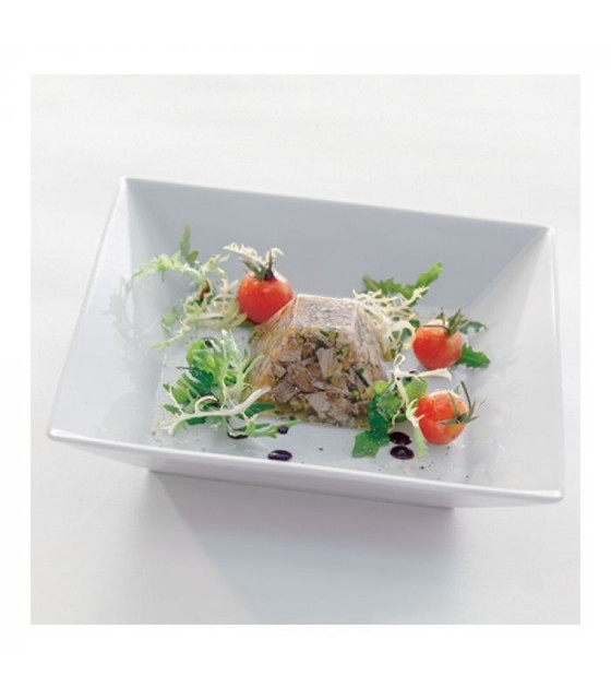 MOULE EN SILICONE GN1/3 6 PORTIONS SF007 PYRAMID SILICON FLEX dans MOULES PATISSERIES