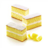 MOULE EN SILICONE GN1/3 12 PORTIONS SF026 CAKE SILICON FLEX dans MOULES PATISSERIES