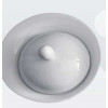 ASSIETTE DEGUSTATION + COUVERCLE Ø23CM dans VAISSELLE SPECIALISEE ASSIETTE DEGUSTATION + COUVERCLE Ø23CM dans VAISSELLE SPECIALISEE