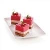MOULE EN SILICONE GN1/3 CUBE SF104 CUBE SILICON FLEX dans MOULES PATISSERIES