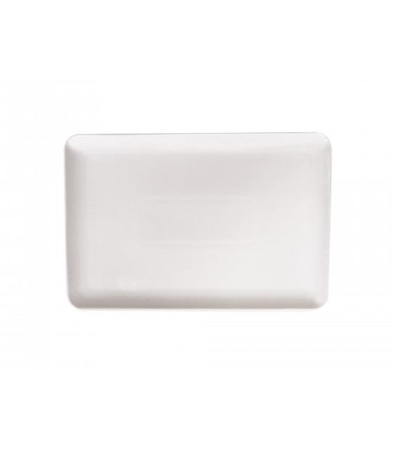 ASSIETTE RECTANGLE 31X21CM DIGOIN dans DIGOIN
