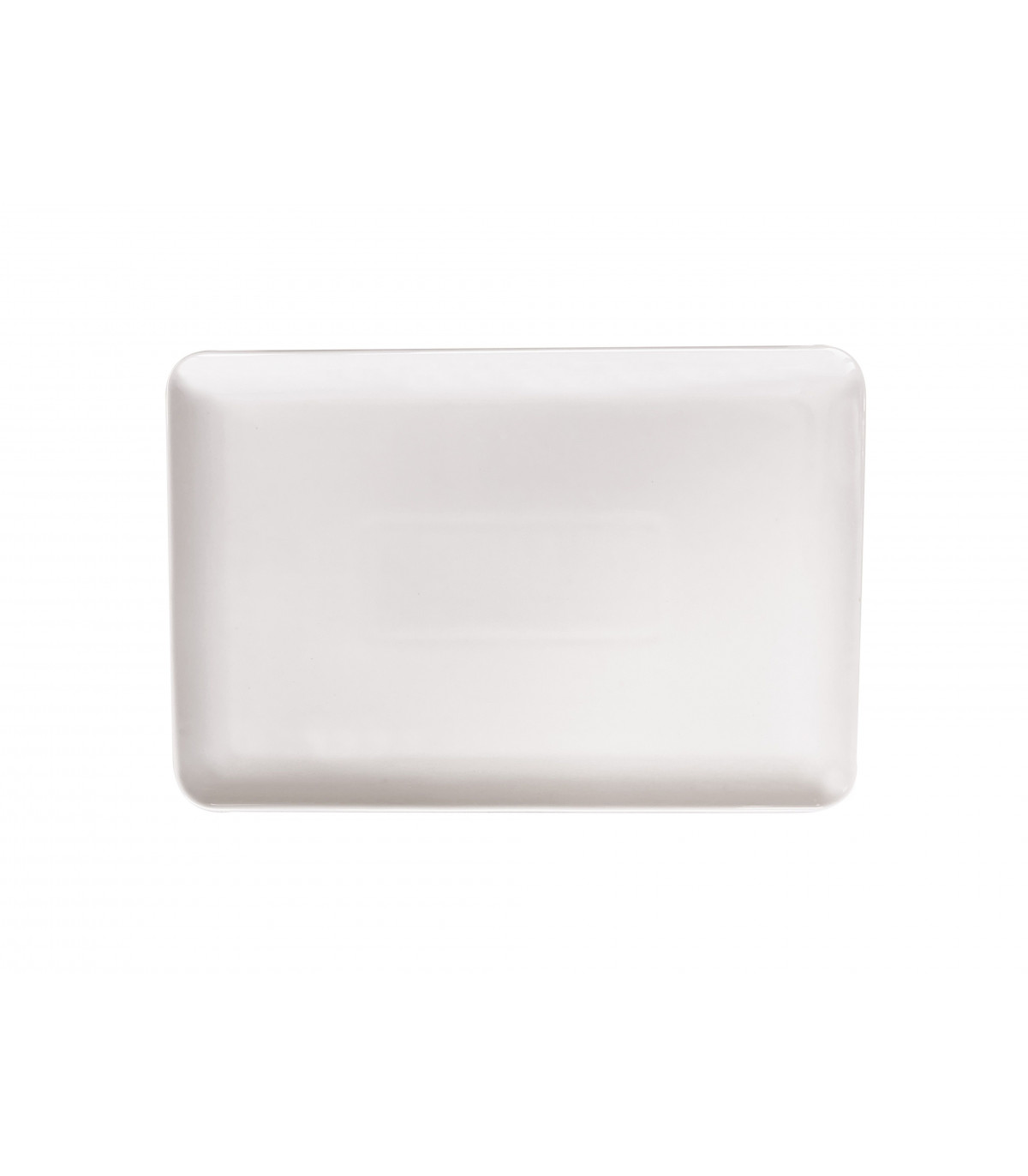 ASSIETTE RECTANGLE 31X21CM DIGOIN dans DIGOIN