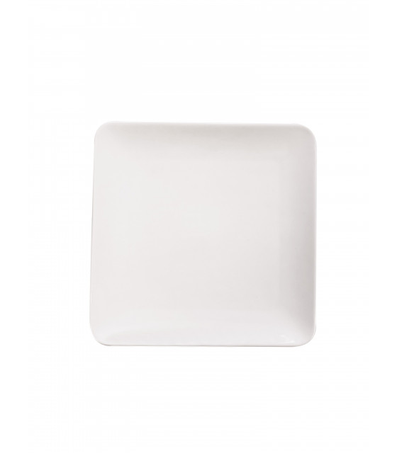 ASSIETTE CARRE 21.5X21.5CM DIGOIN dans DIGOIN