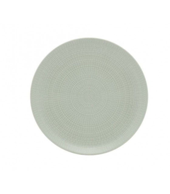 ASSIETTE PLATE Ø28CM MODULO NATURE JADE DEGRENNE dans MODOLO