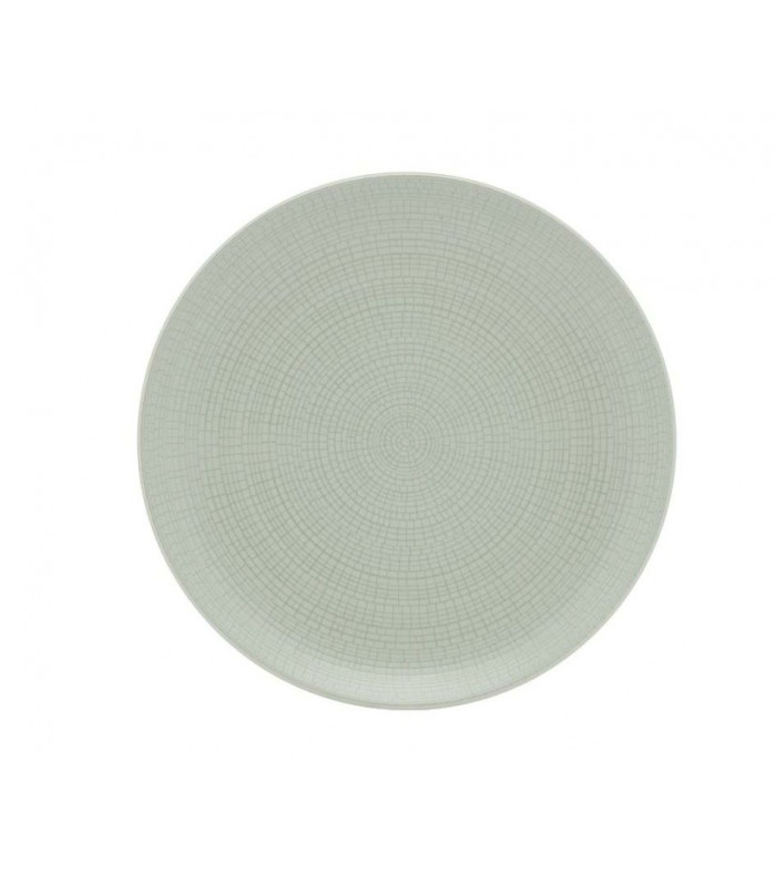 ASSIETTE PLATE Ø28CM MODULO NATURE JADE DEGRENNE dans MODOLO