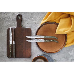 COUTEAU STEAK VOLCANO AMEFA dans BISTRO