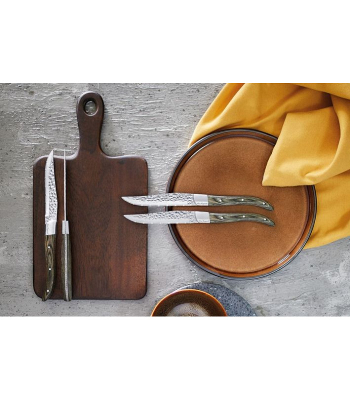 COUTEAU STEAK VOLCANO AMEFA dans BISTRO