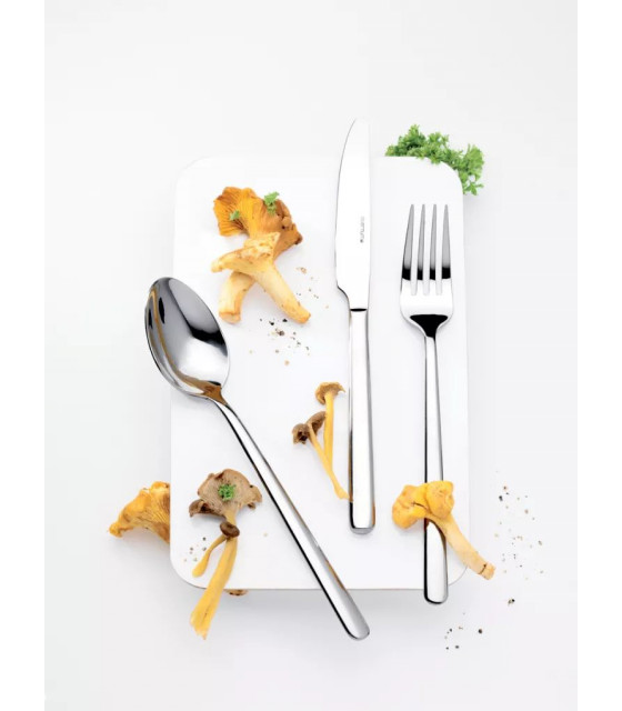 COUTEAU A DESSERT MONO NARDO 12 PIECES ETERNUM dans ETERNUM NARDO